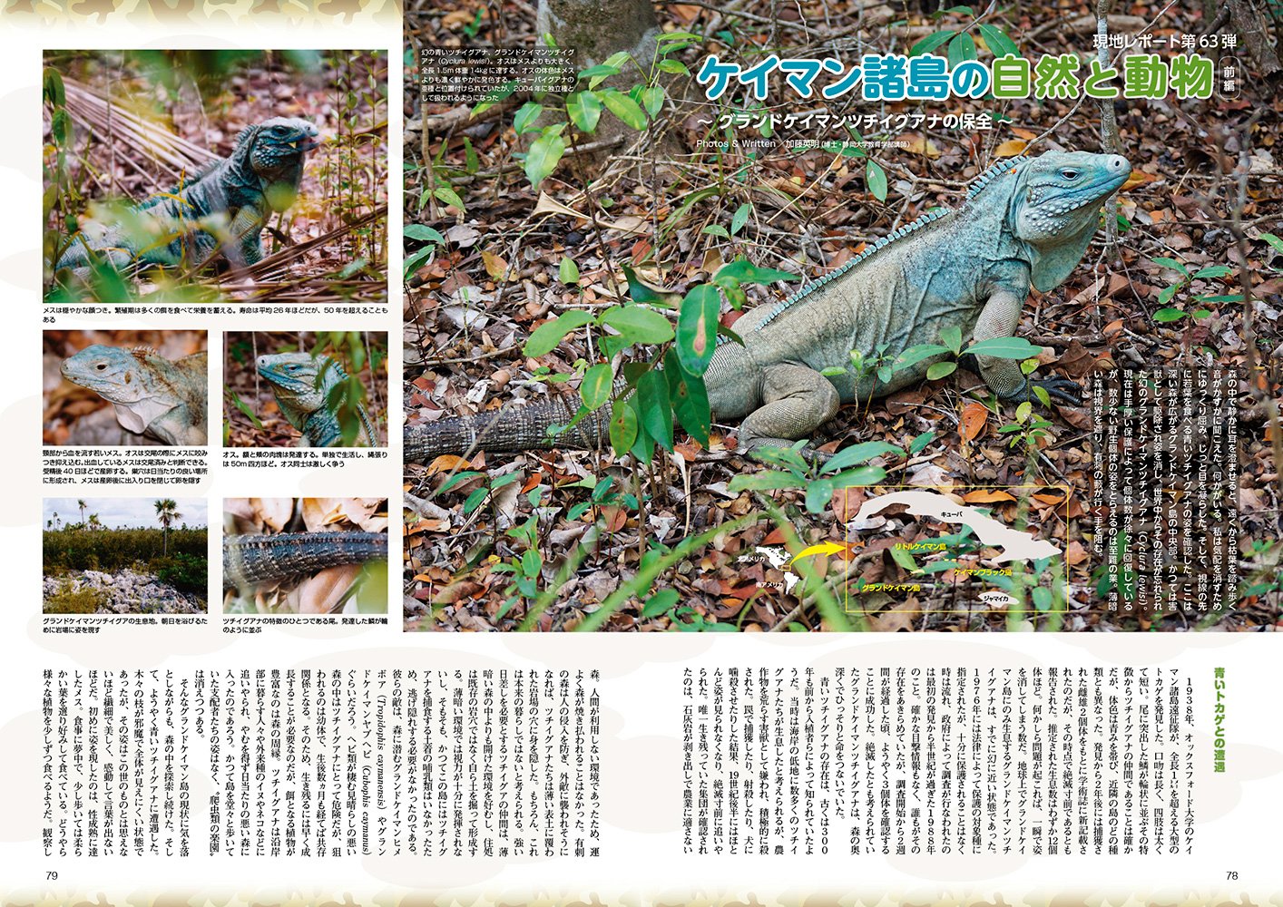 ビバリウムガイド No.76 アクアライフ3月号増刊 前略、幹の上より