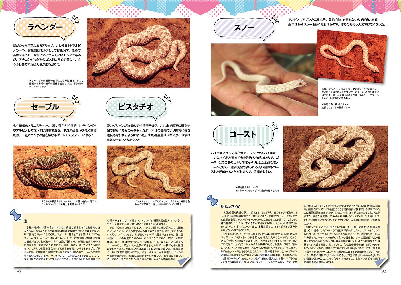 ビバリウムガイド No.81 2018年春夏号 まるっとフトアゴ