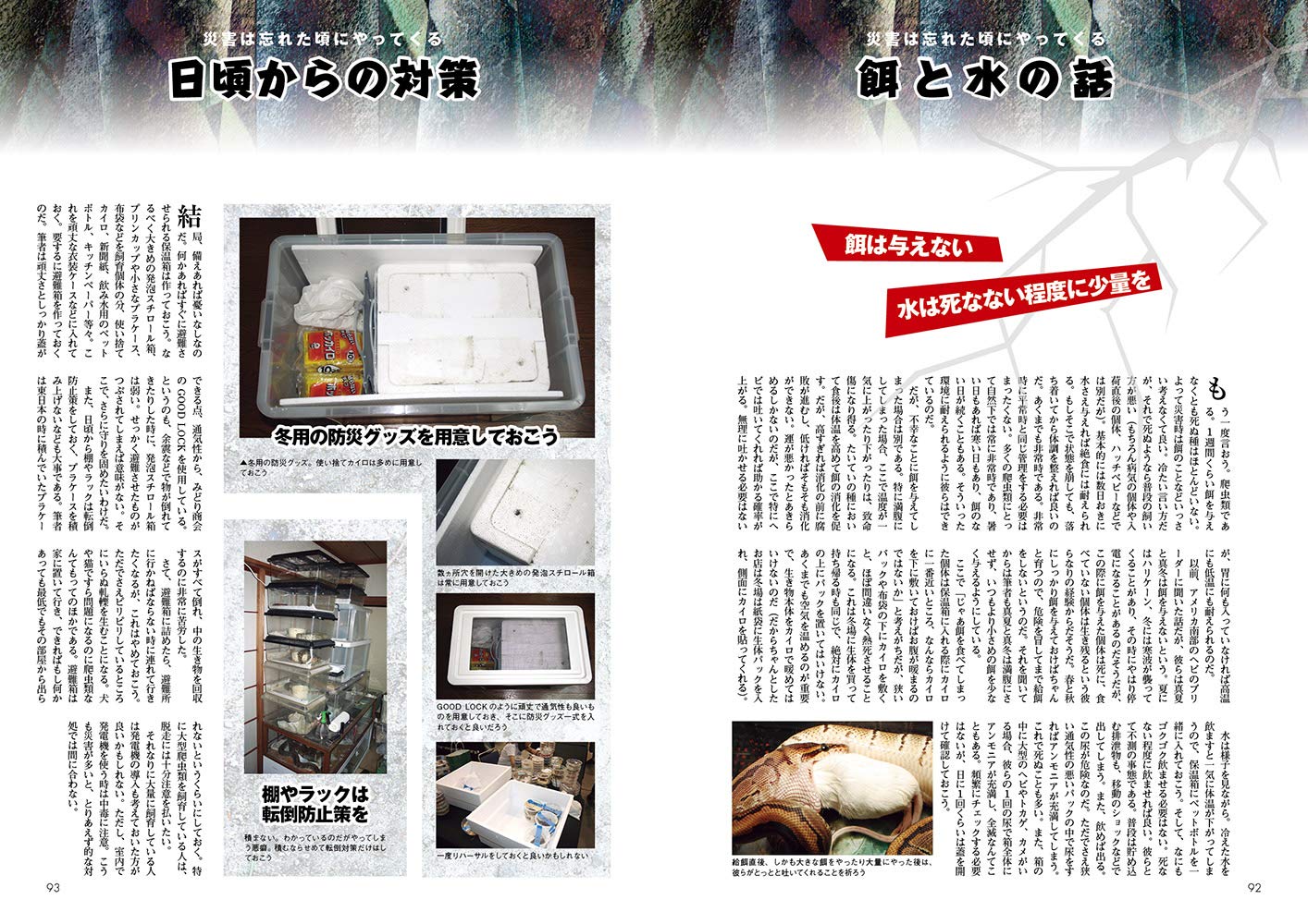 ビバリウムガイド No.83 2018年冬号 泳げよ亀!