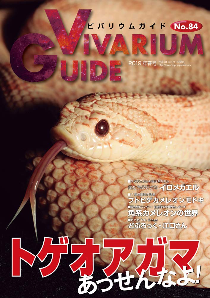 ビバガ 84号
