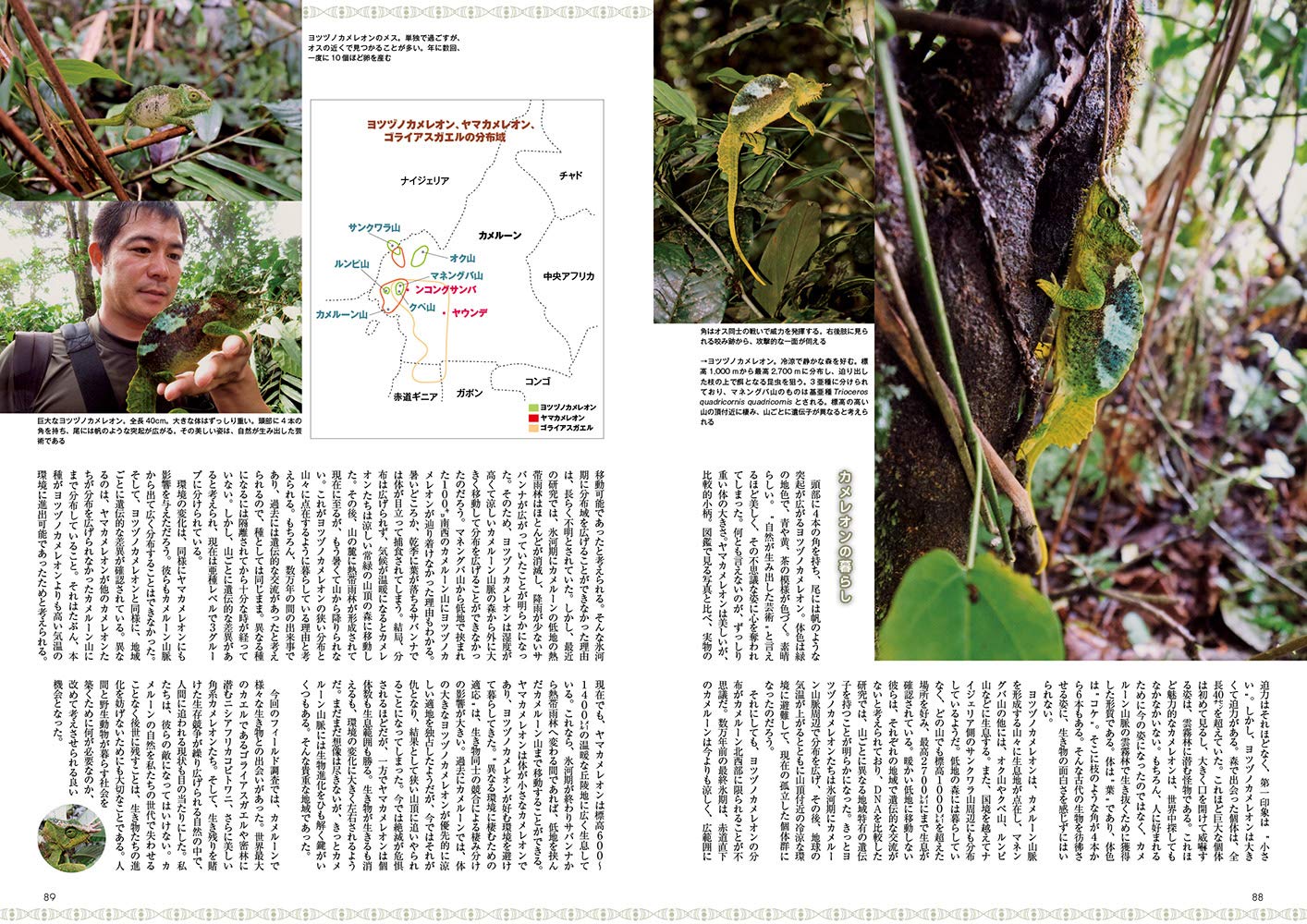 ビバリウムガイド No.84 2019年春号 トゲオアガマ あっせんなよ!