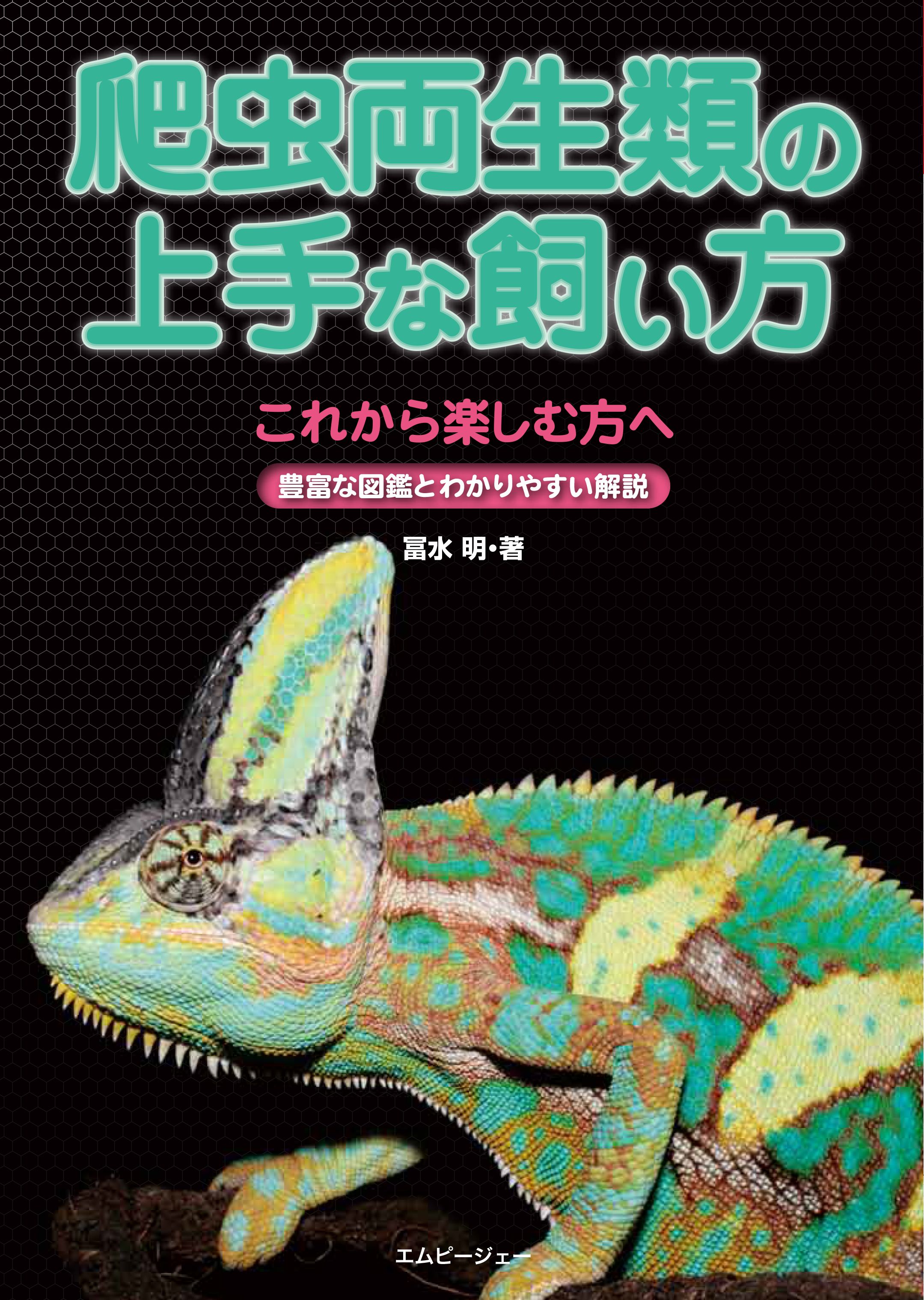 爬虫両生類の上手な飼い方