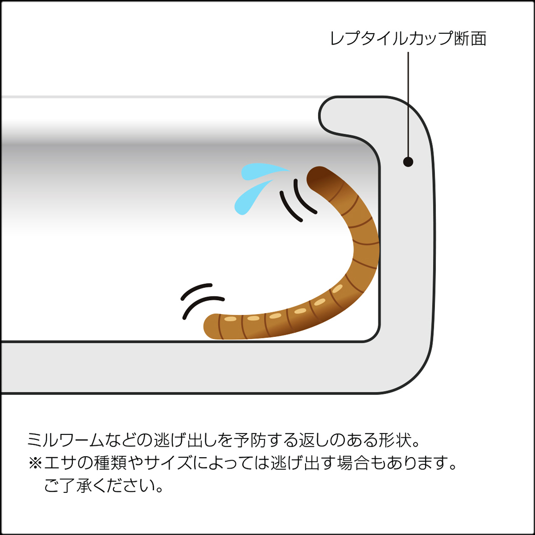 レプタイルカップ 淵の返し