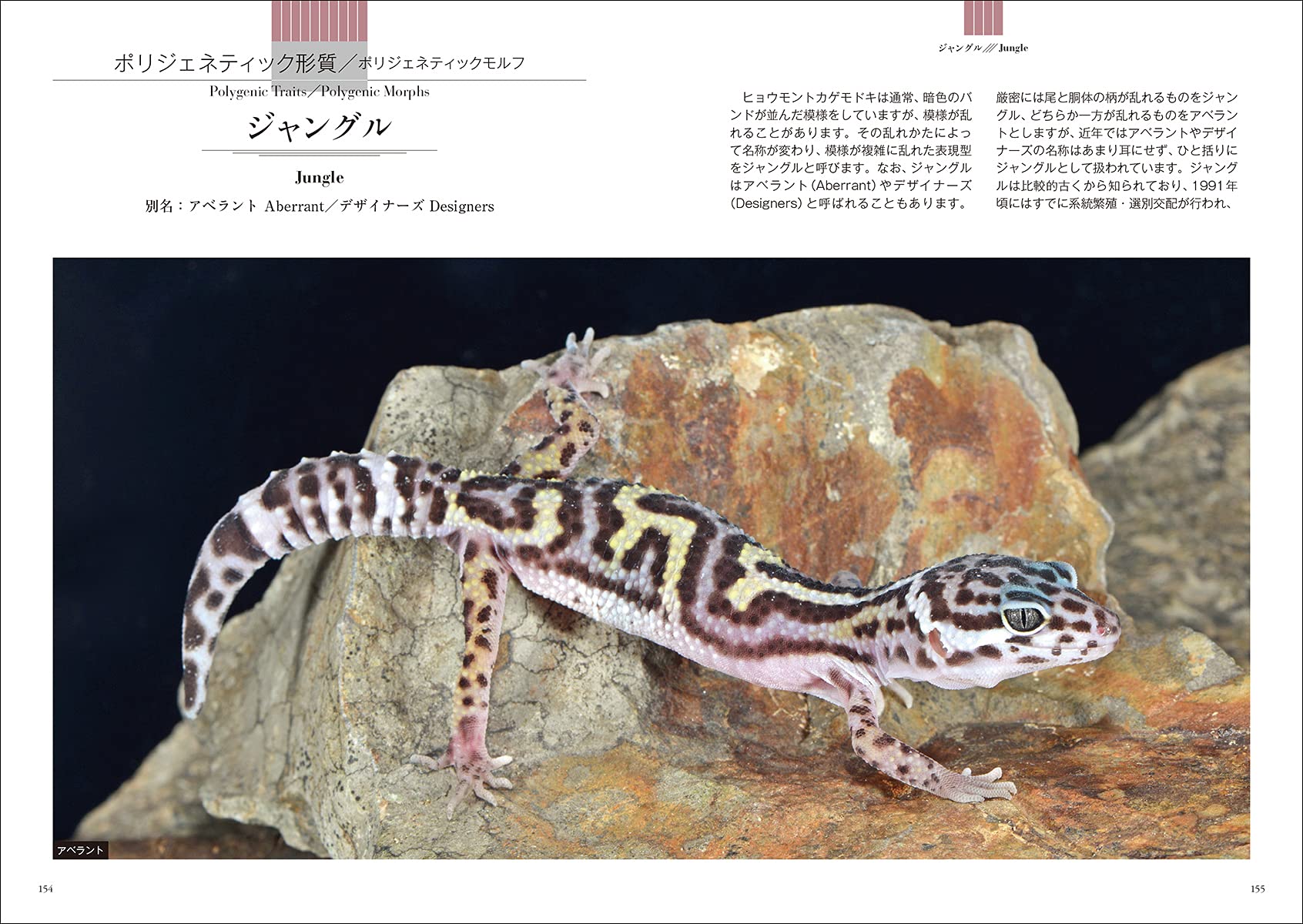 レオパ モルフ