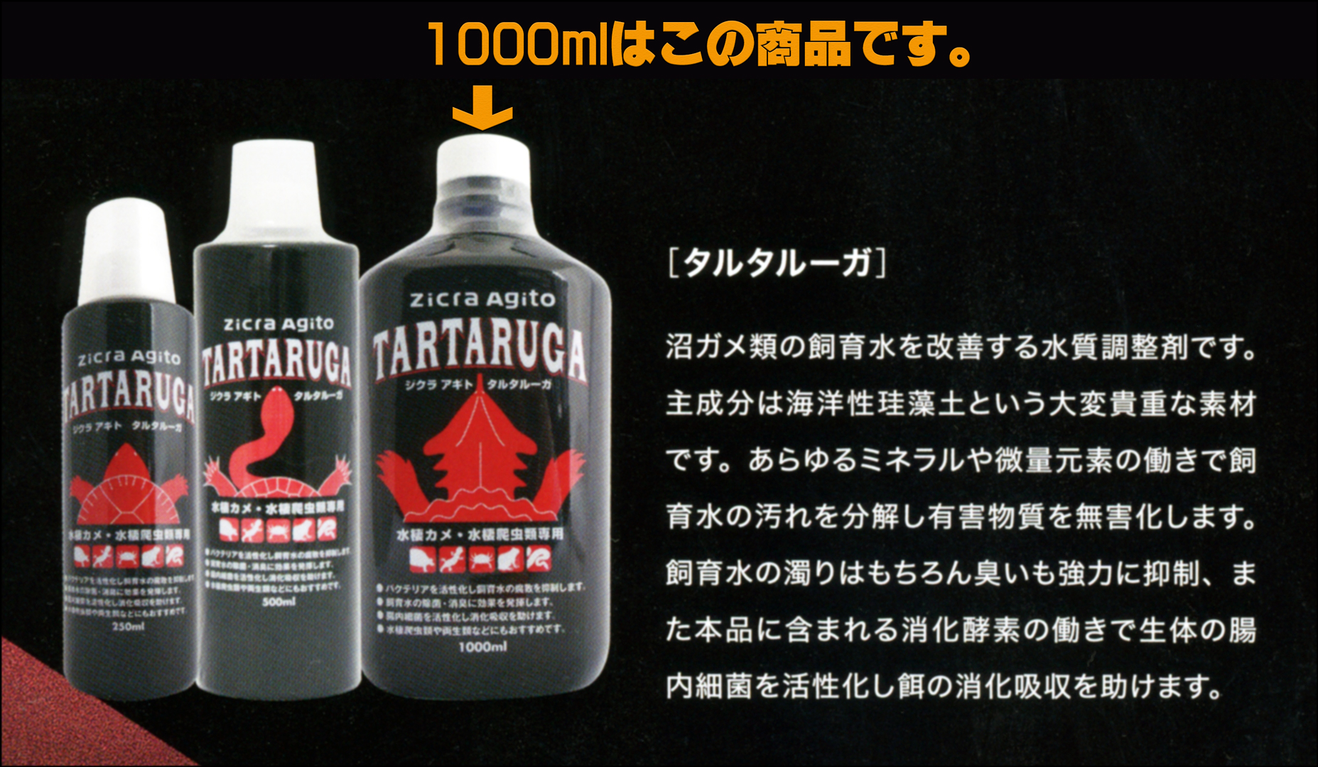 ジクラアギト タルタルーガ カタログ