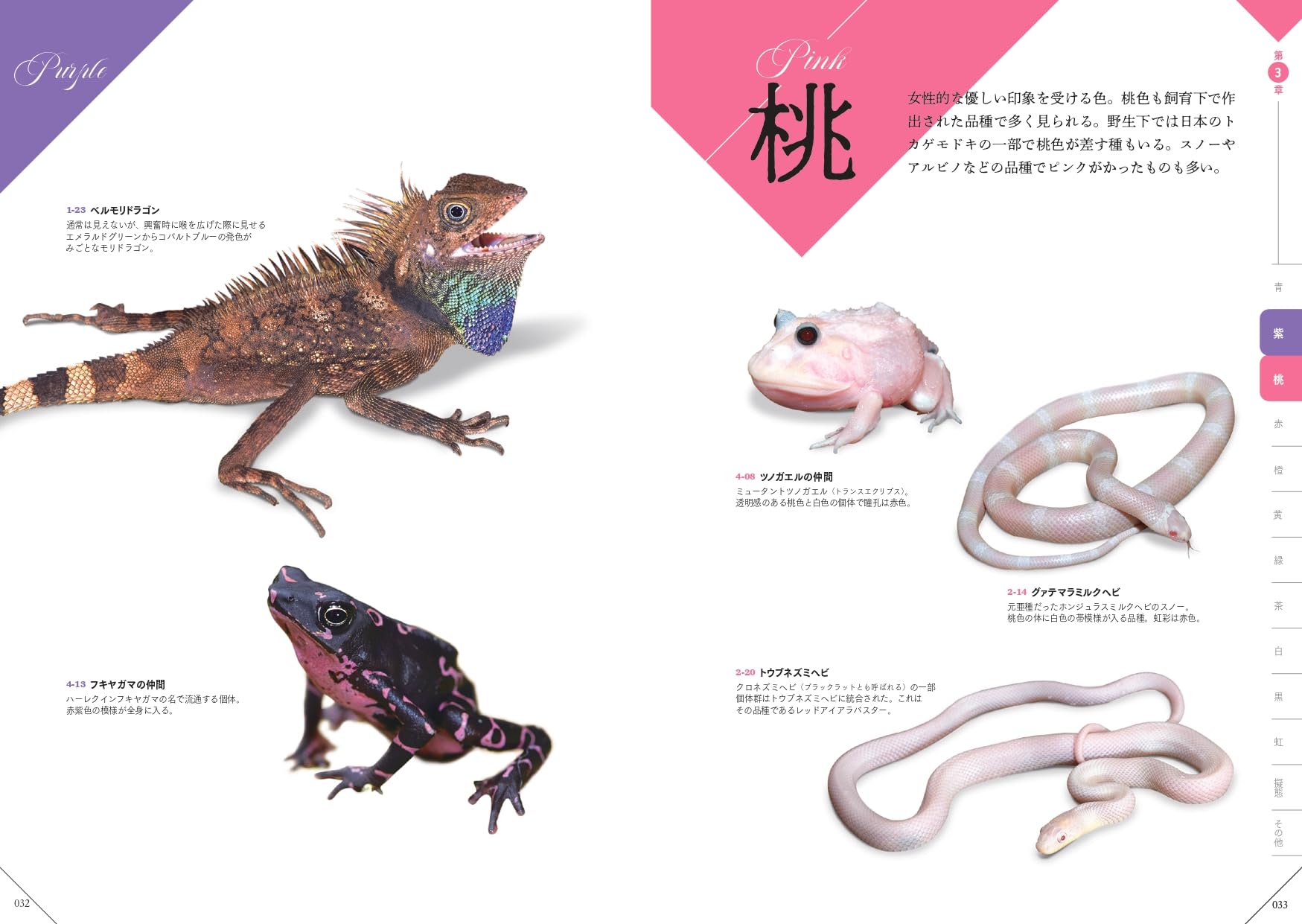色彩別爬虫類・両生類図鑑 桃