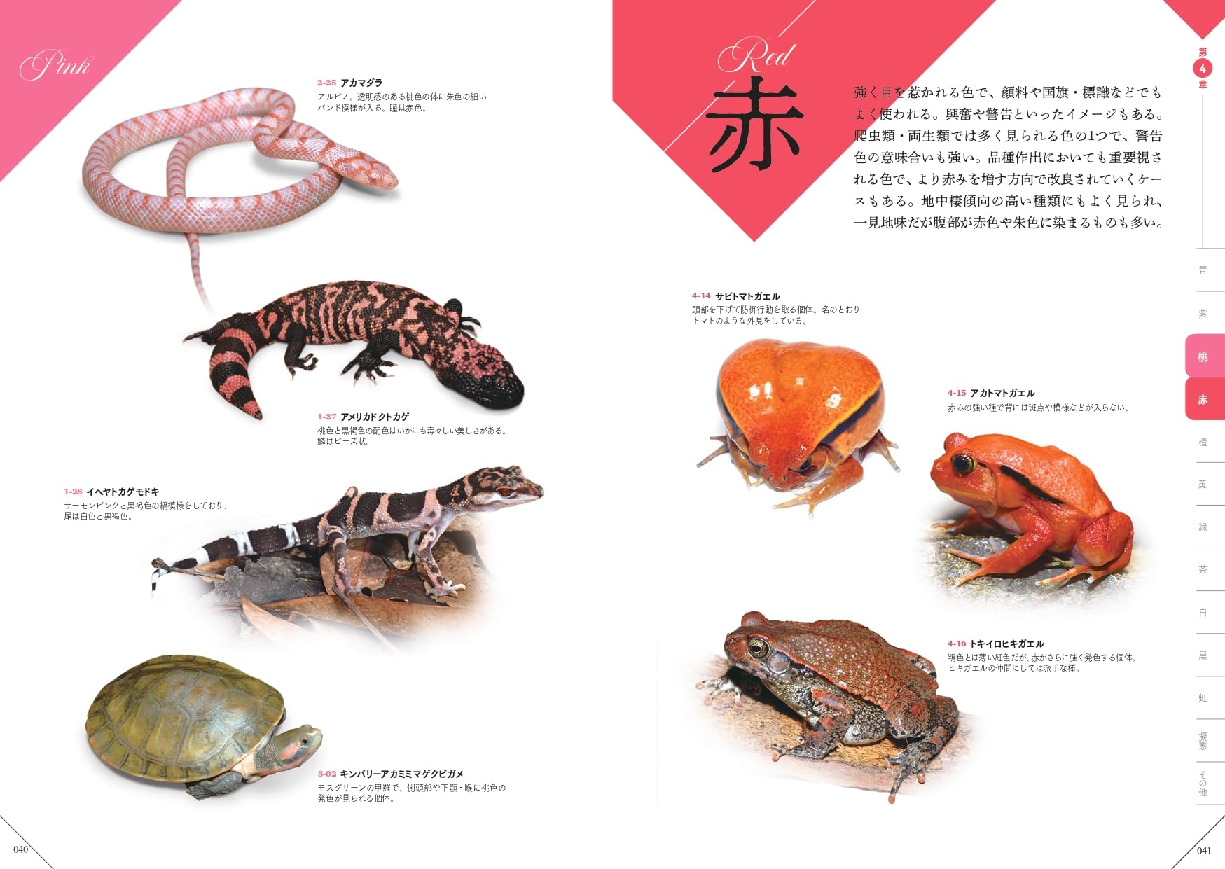 色彩別爬虫類・両生類図鑑 赤