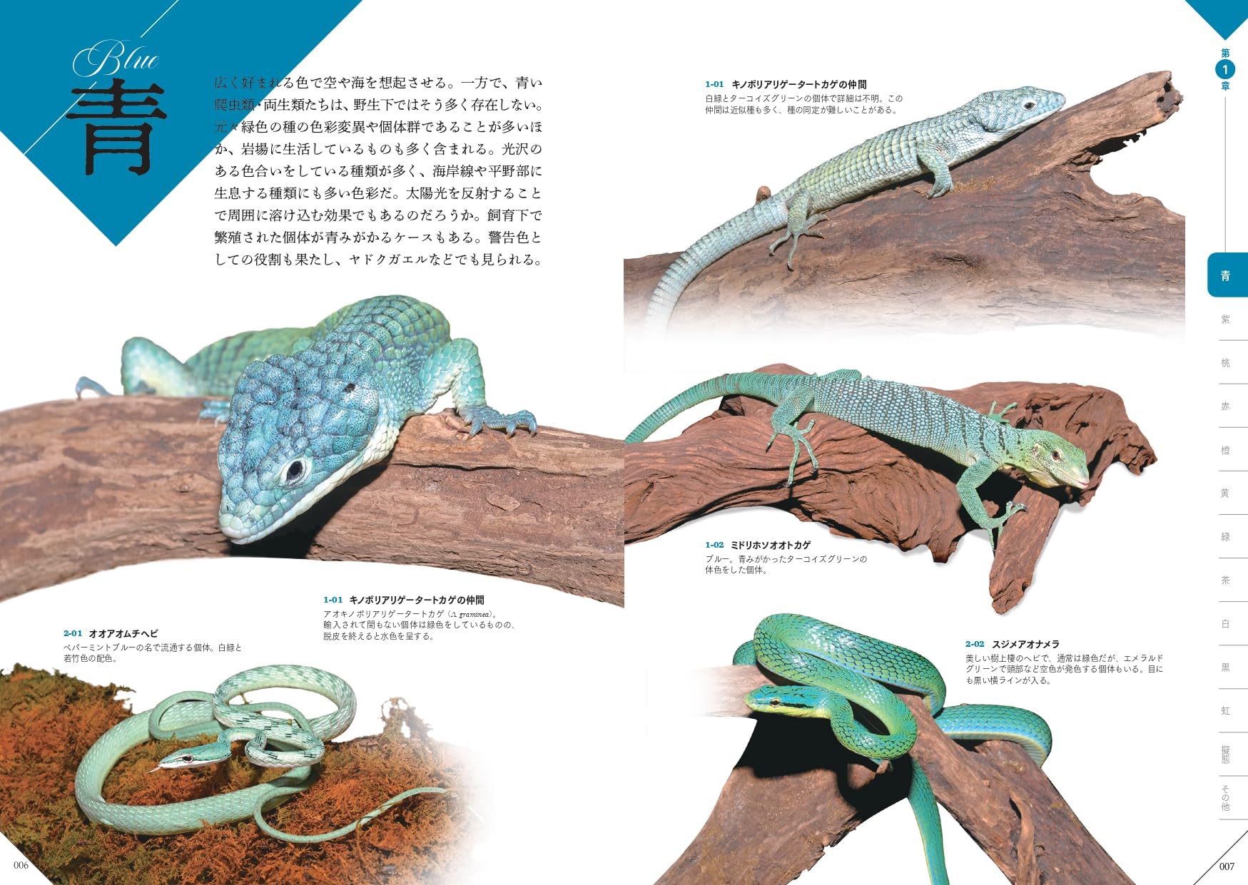 色彩別爬虫類・両生類図鑑 青