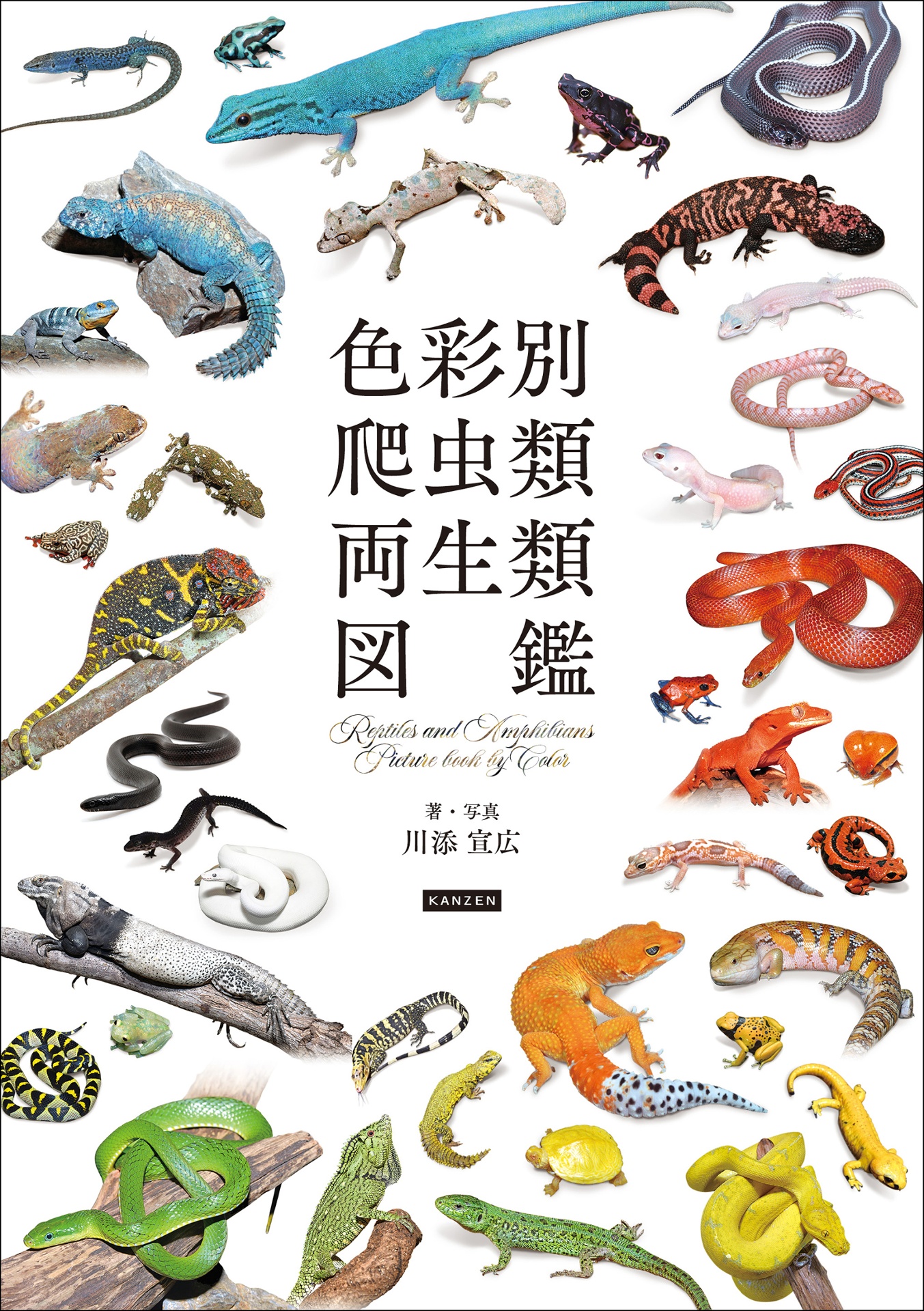 色彩別爬虫類・両生類図鑑 カンゼン