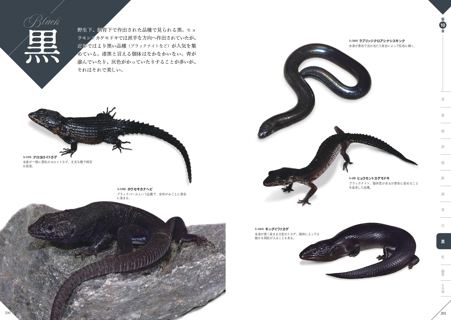 色彩別爬虫類・両生類図鑑 黒