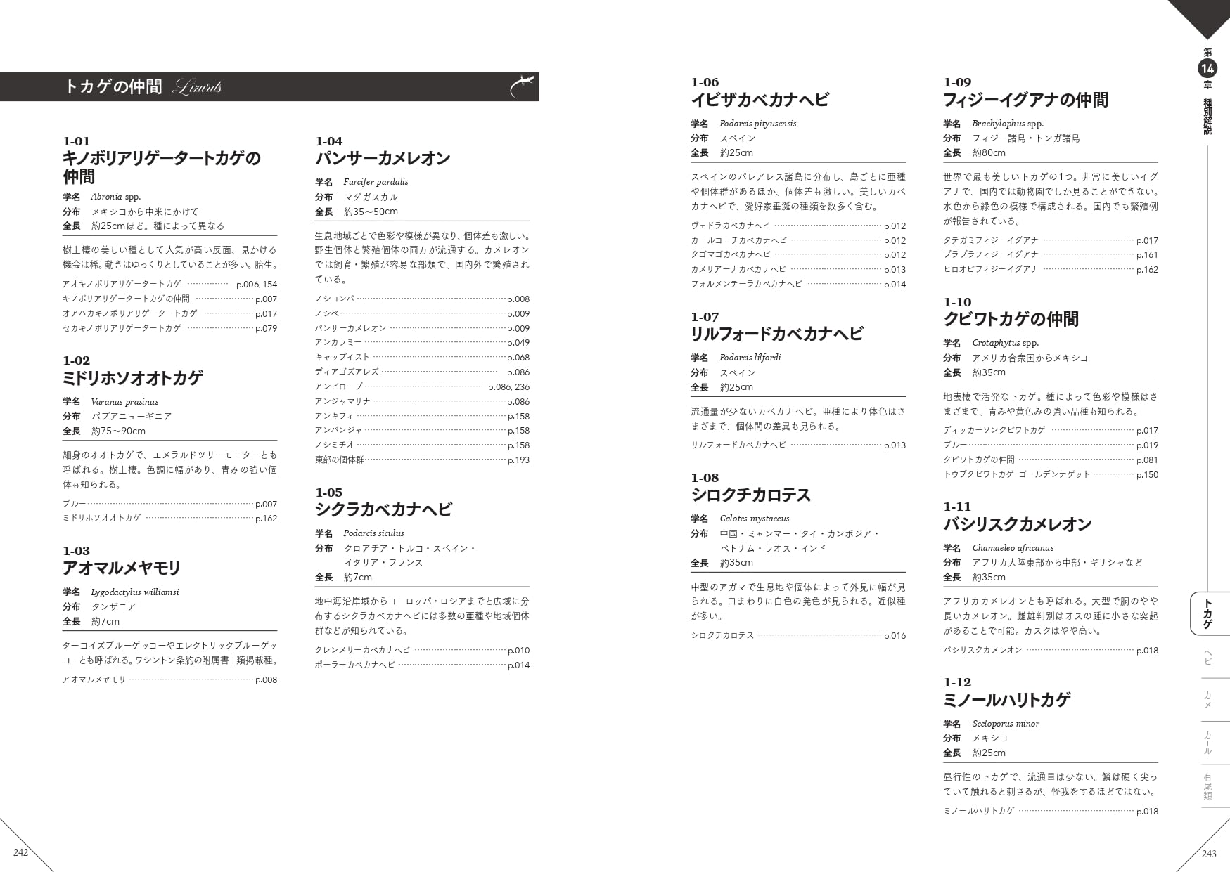 色彩別爬虫類・両生類図鑑 種別解説