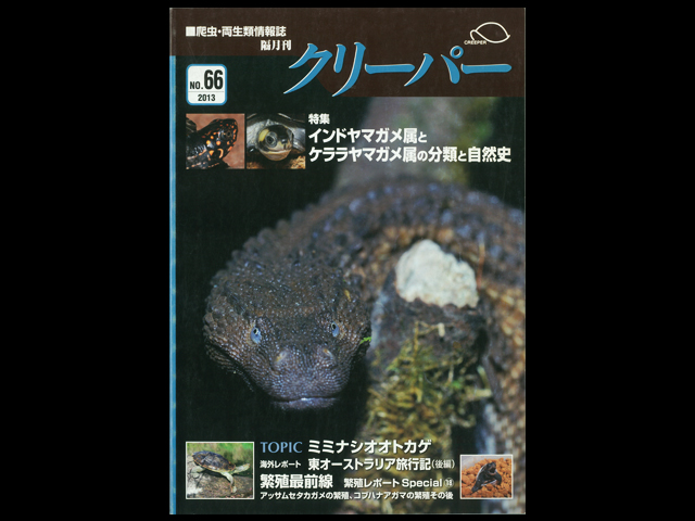 CREEPER(クリーパー) NO.66 インドヤマガメ属とケララヤマガメ属の分類と自然史