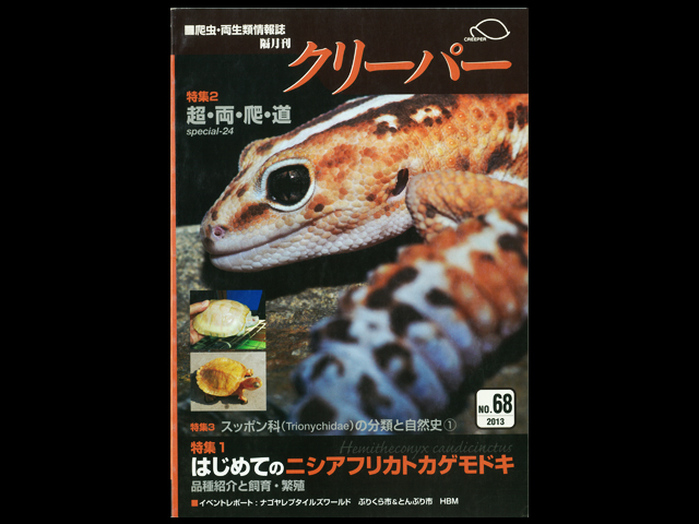 CREEPER(クリーパー) NO.68 はじめてのニシアフリカトカゲモドキ
