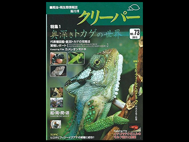 CREEPER(クリーパー) NO.73 奥深きトカゲの世界