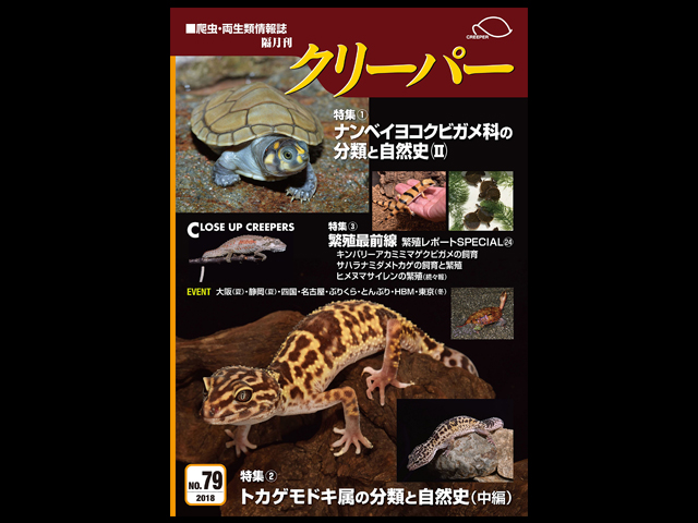 CREEPER(クリーパー) NO.79 ナンベイヨコクビガメ科の分類と自然史(Ⅱ)