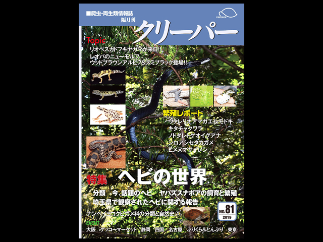 CREEPER(クリーパー) NO.81 ヘビの世界 繁殖レポート Special-26