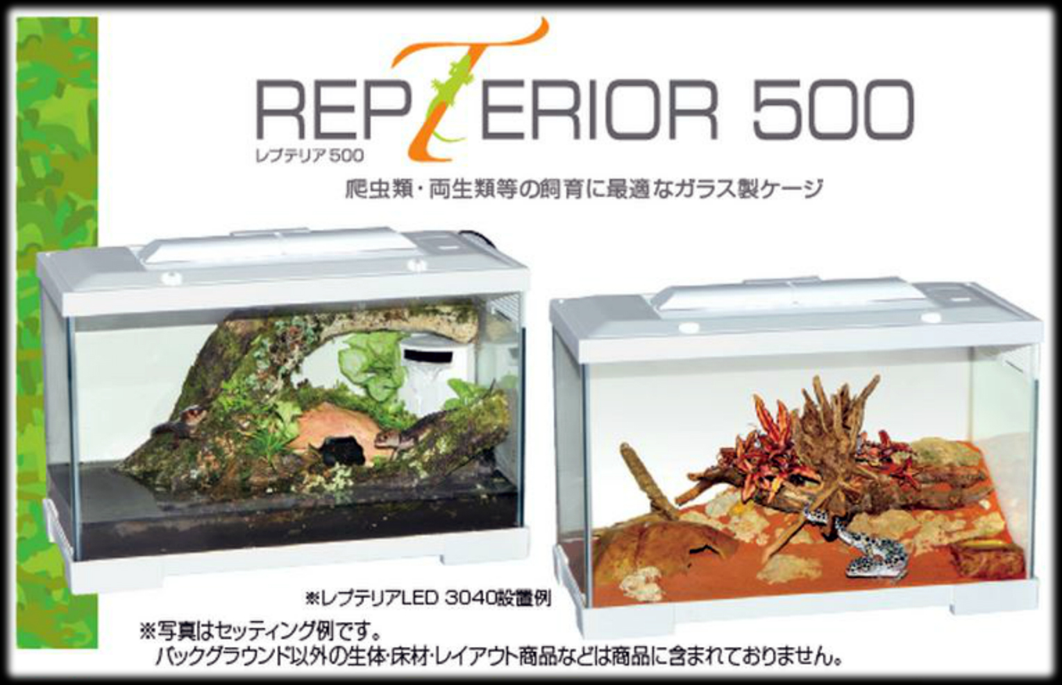 レプテリア500 セッティング例