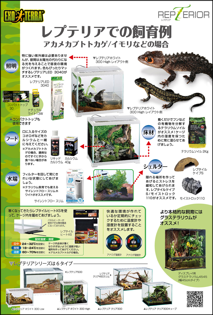 GEX レプテリア アカメカブトトカゲ/イモリの飼育例