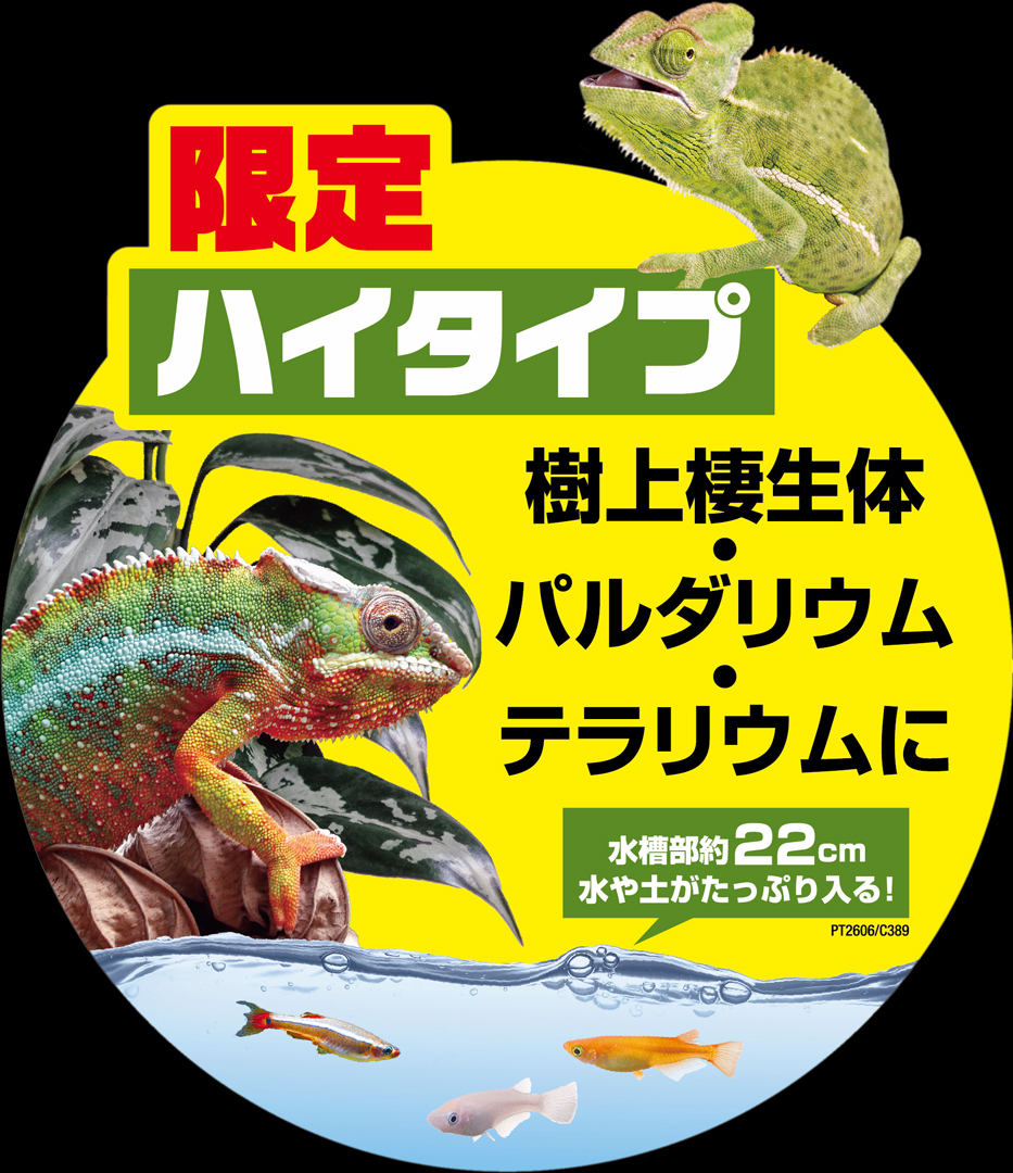 グラステラリウム4590 ジェックス