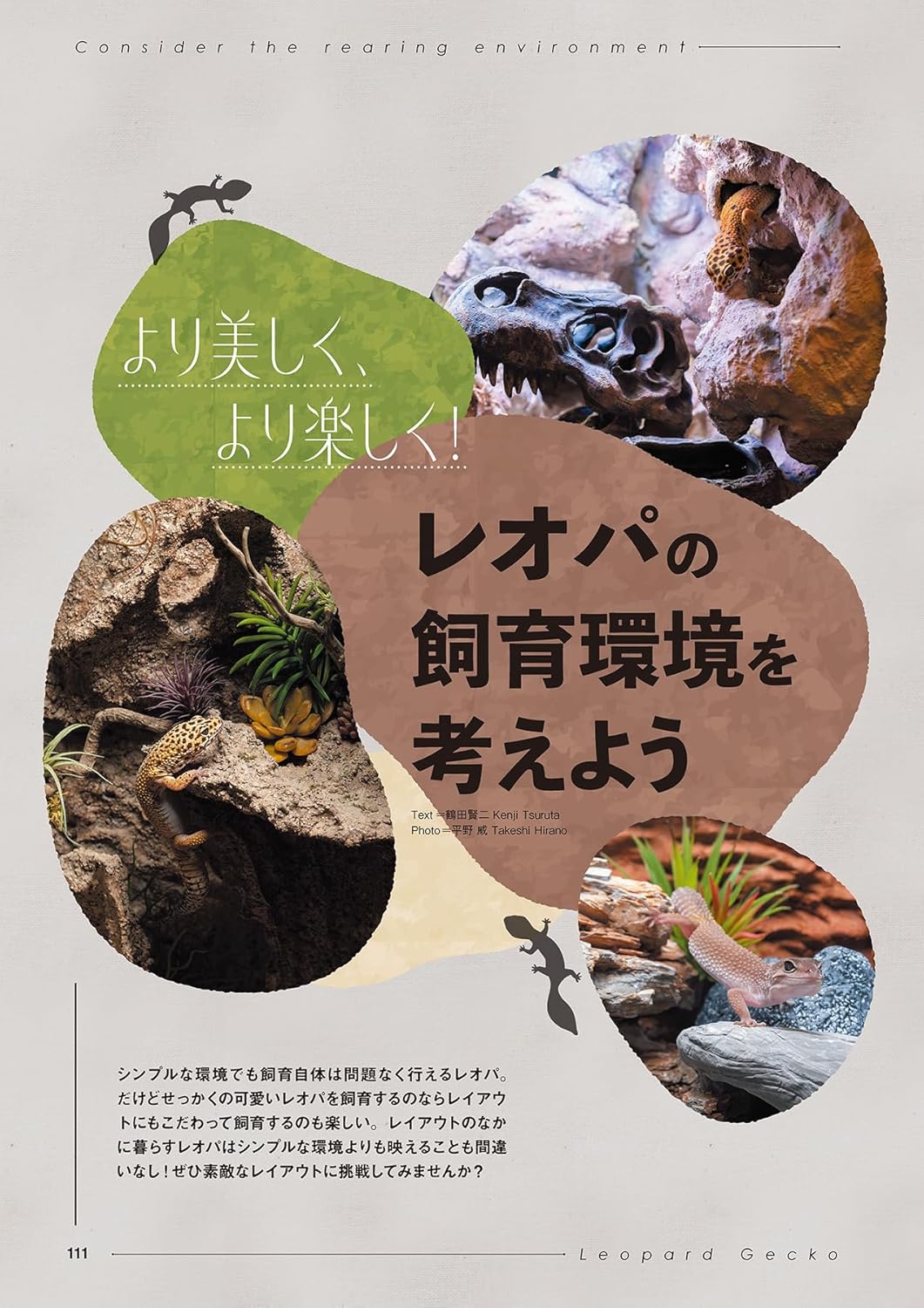レプファン Vol.27　レオパの飼育環境
