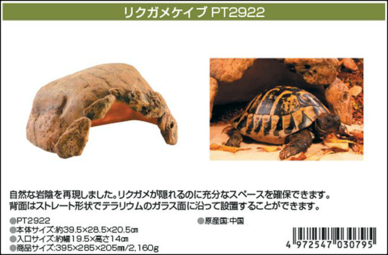 リクガメケイブ エキゾテラ ジェックス