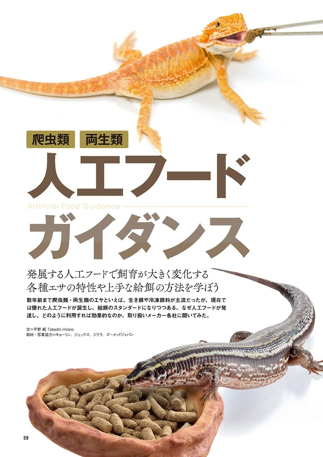 レプファン Reptile keepey