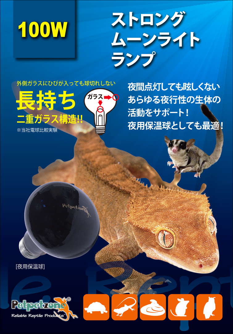 ストロングムーンライトランプ100W　パッケージ前面