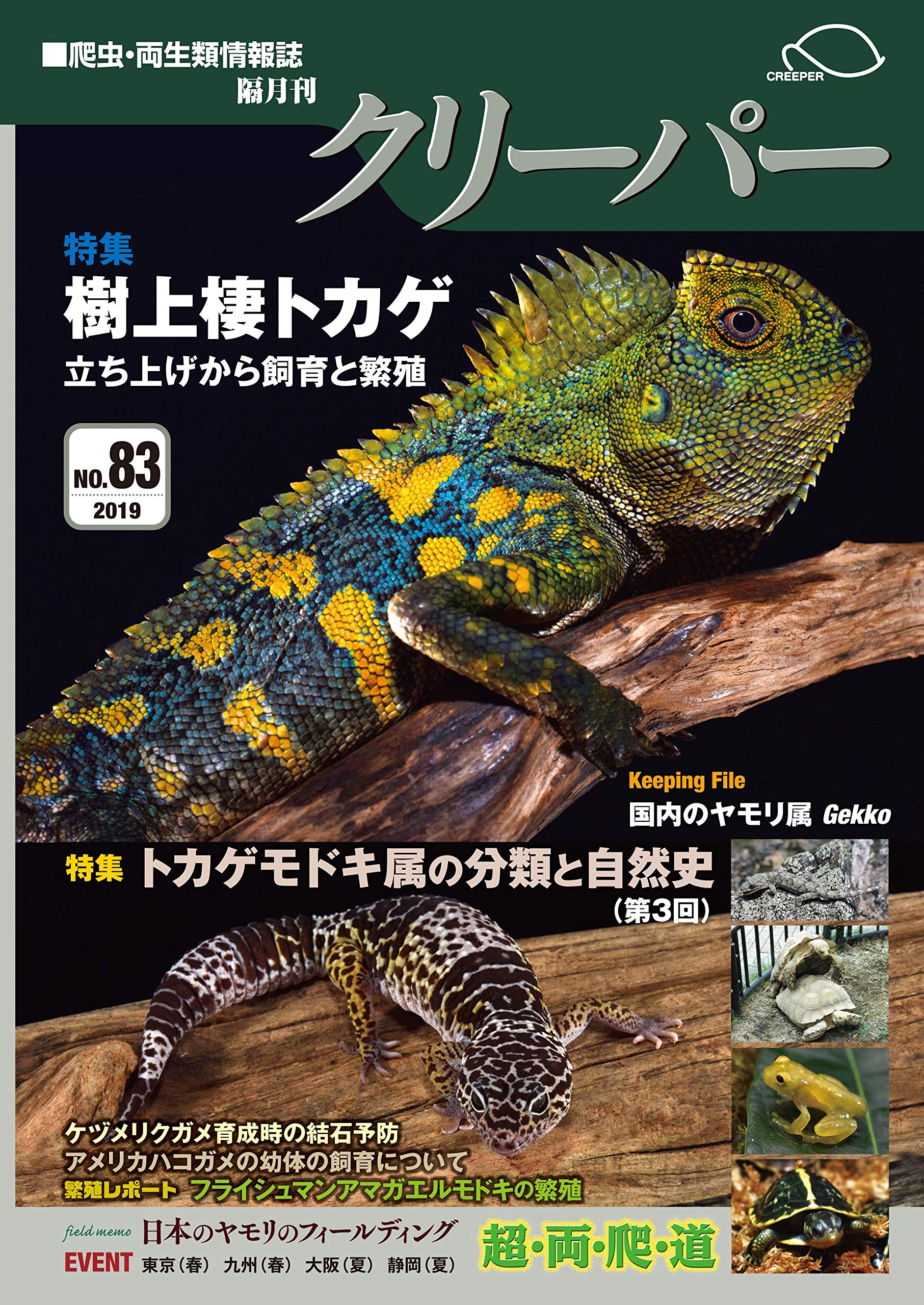 CREEPER(クリーパー) NO.83 樹上棲トカゲ 立ち上げから飼育と繁殖