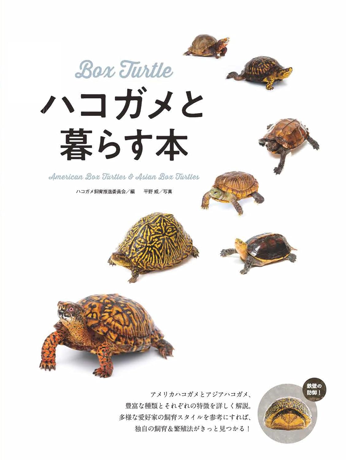 ハコガメと暮らす本 (アクアライフの本)