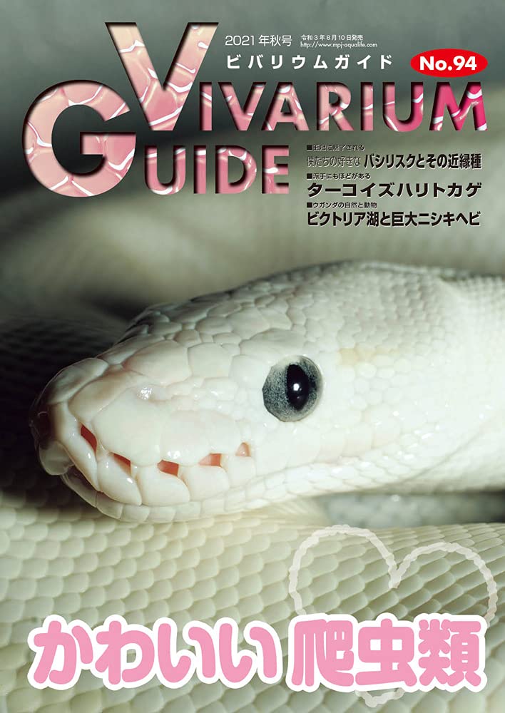 ビバリウムガイドNo.94 2021年08月号　かわいい爬虫類
