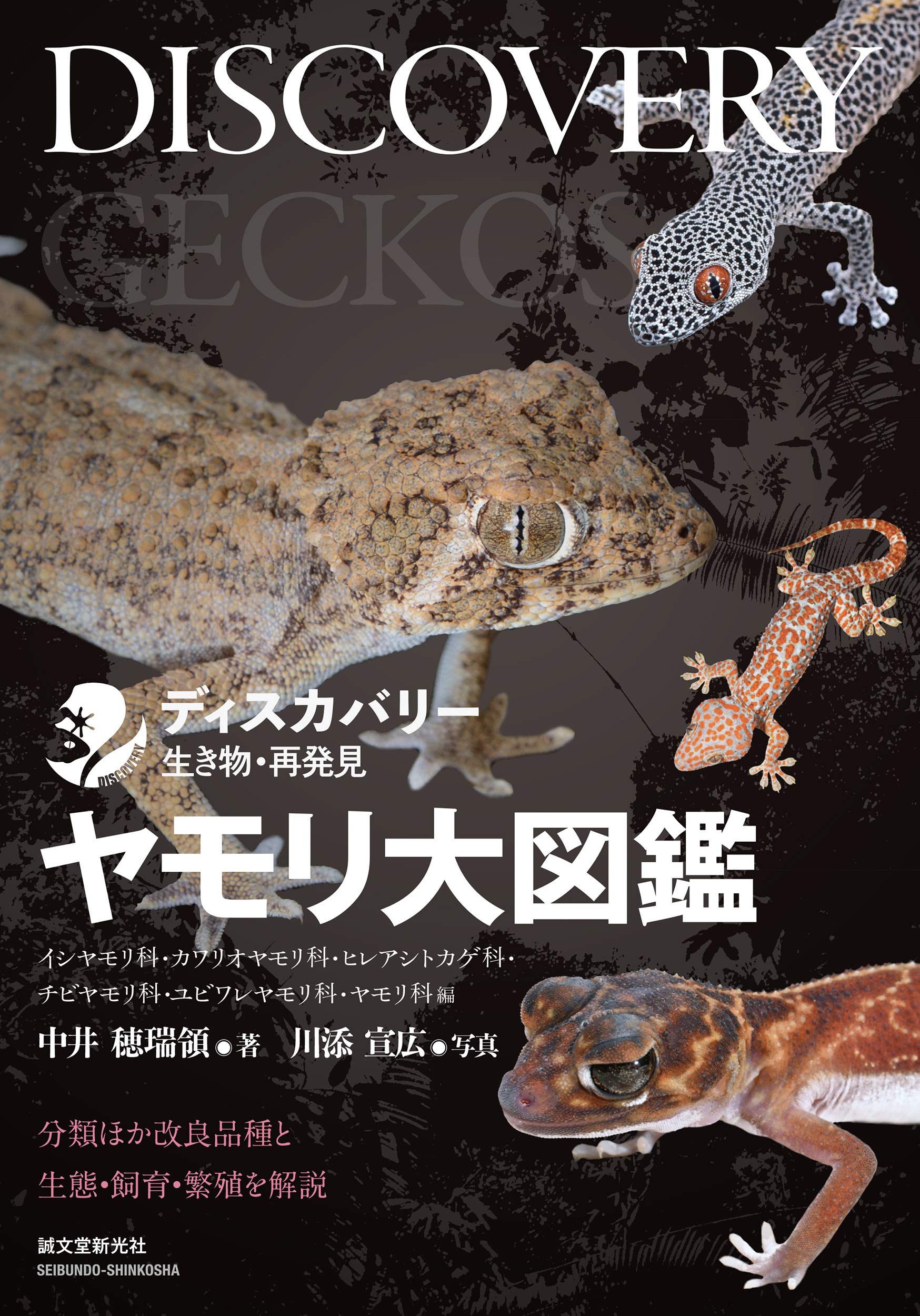 ディスカバリー生き物・再発見 ヤモリ大図鑑 誠文堂新光社