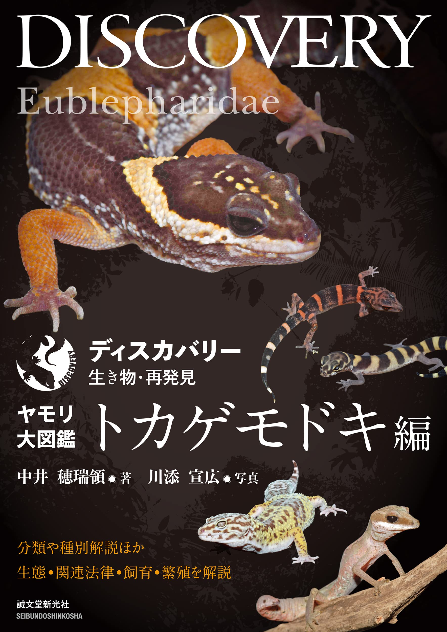 ディスカバリー生き物・再発見 ヤモリ大図鑑 トカゲモドキ編 誠文堂新光社