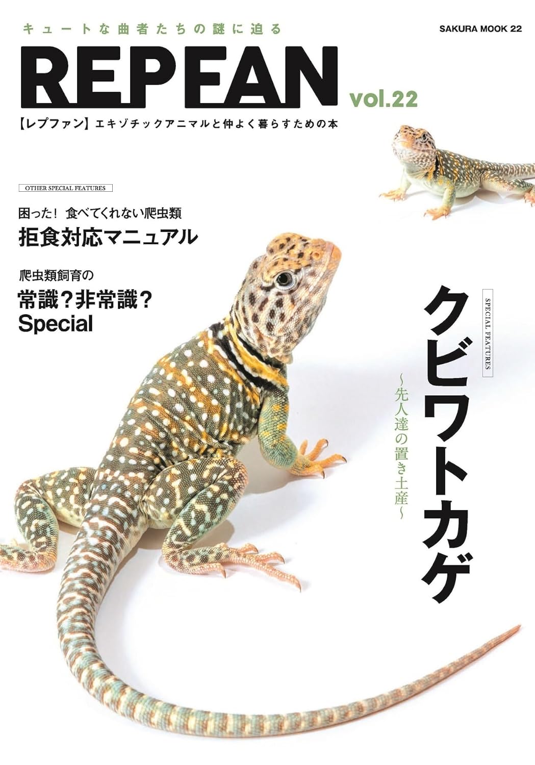 REP FAN レプファン Vol.22 クビワトカゲ~先人たちの置き土産~
