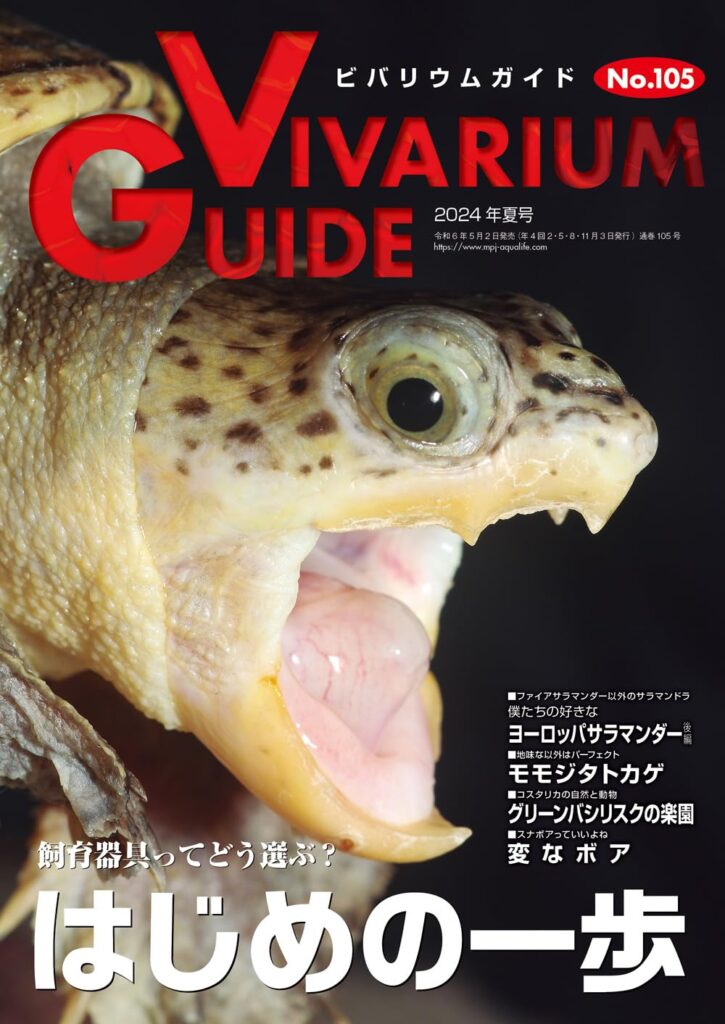 ビバリウムガイドNo.105 2024年夏号 飼育器具ってどう選ぶ? ~はじめの一歩~