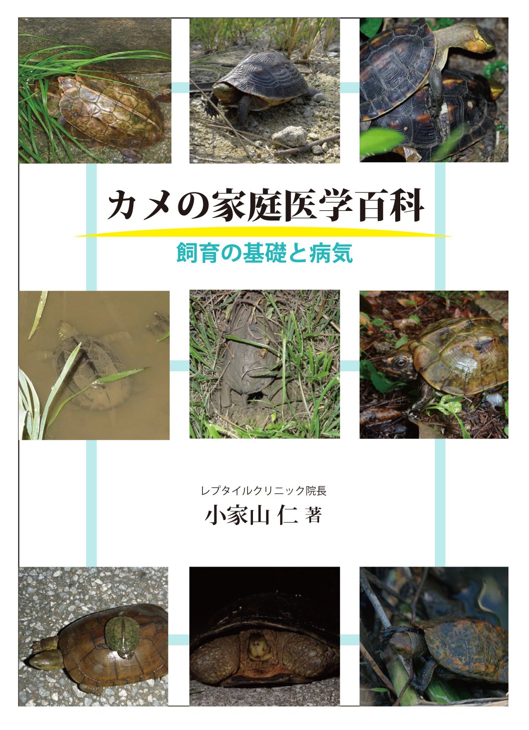 カメの家庭医学百科 飼育の基礎と病気　アートヴィレッジ
