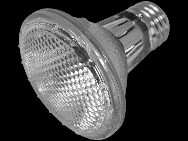 デイハロゲン22W　Vivaria(ビバリア)　爬虫類用防滴ハロゲン保温球