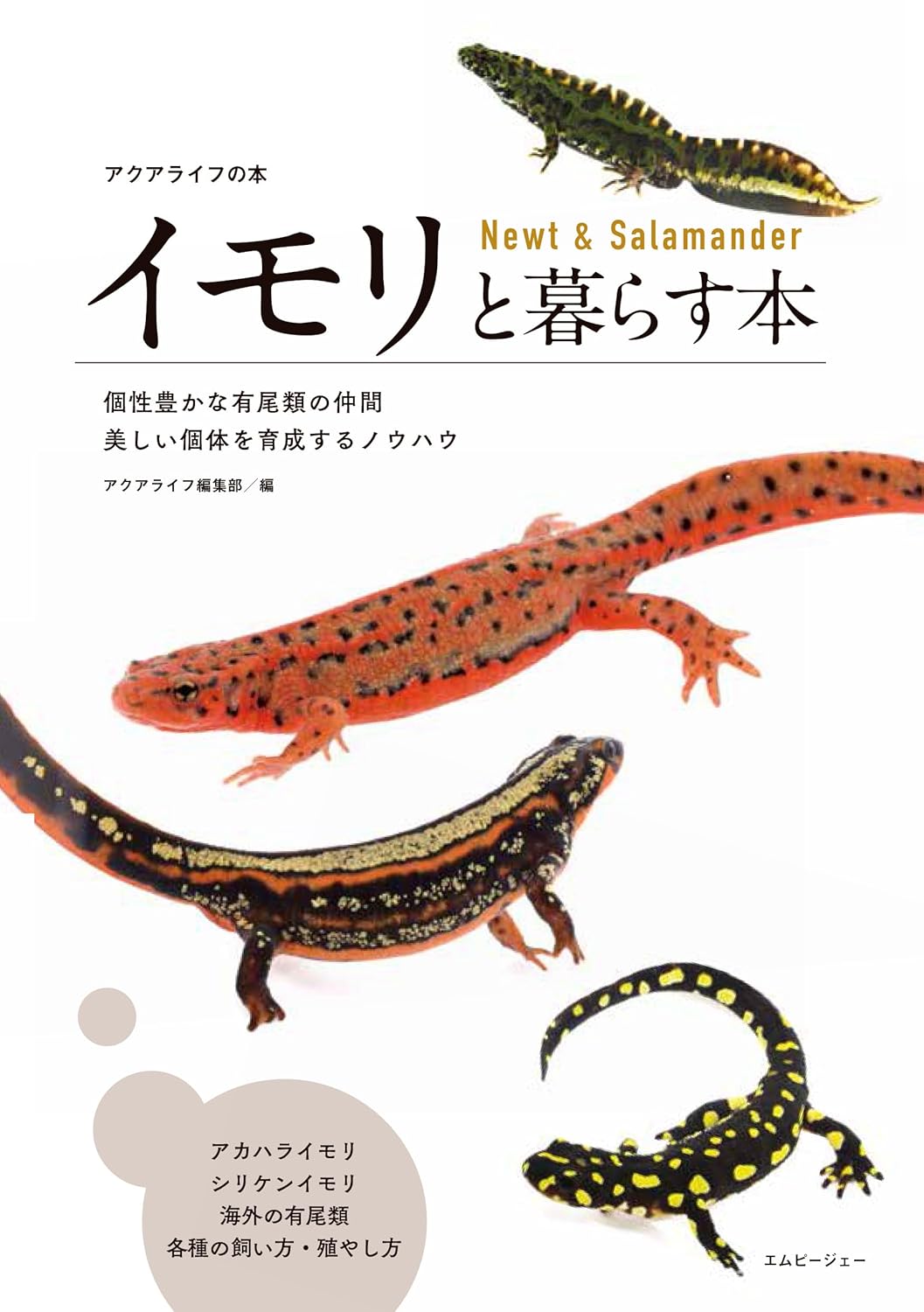 イモリと暮らす本　エムピージェー