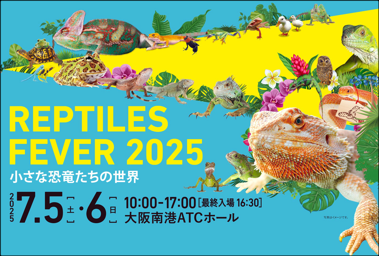 レプタイルズフィーバー2025　関西・大阪最大の爬虫類イベント
