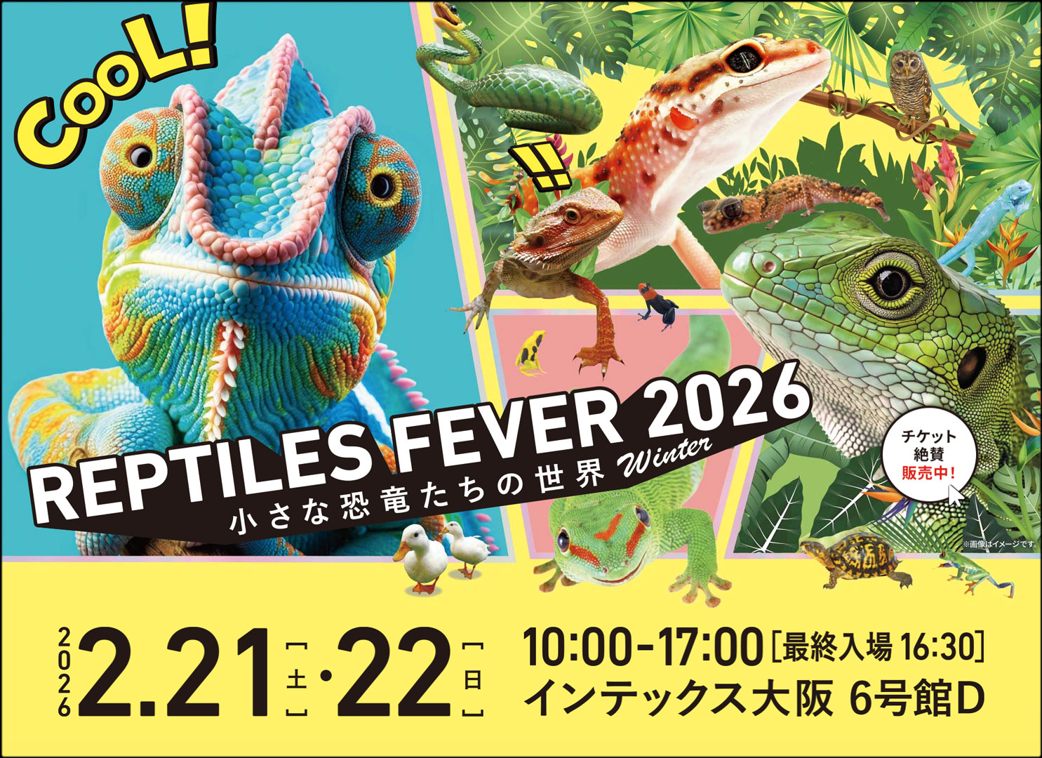レプタイルズフィーバー2026　ウインター