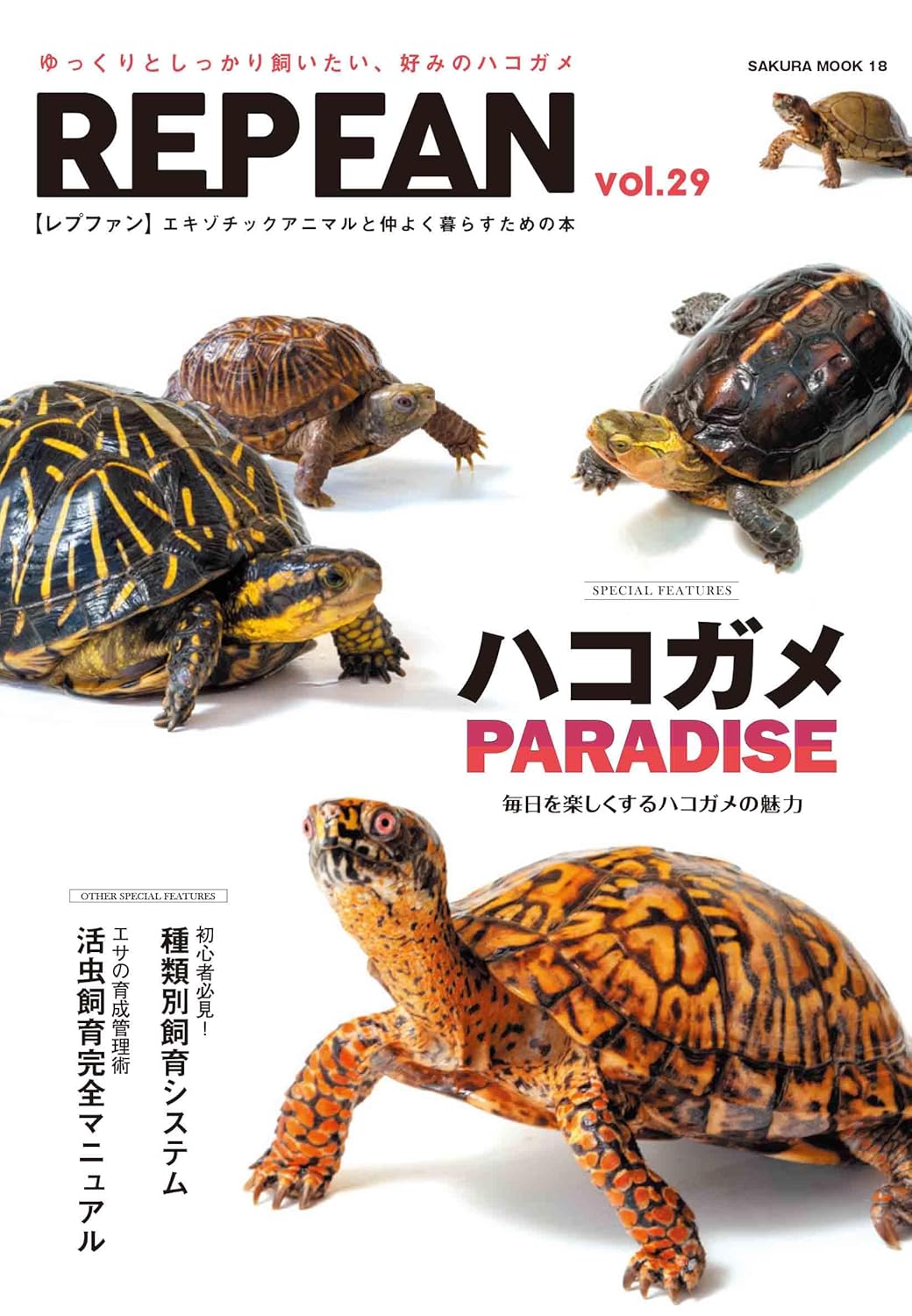 RREP FAN レプファン Vol.29　ハコガメ PARADISE